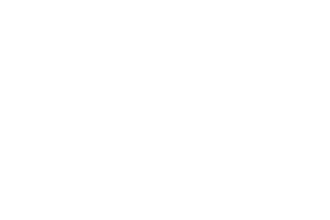 arcX logo (dark)